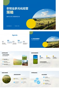 农牧业多元化经营策略
