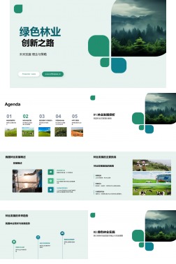 绿色林业 创新之路