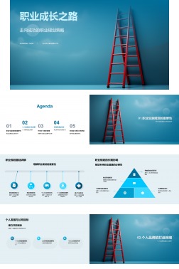 职业成长之路